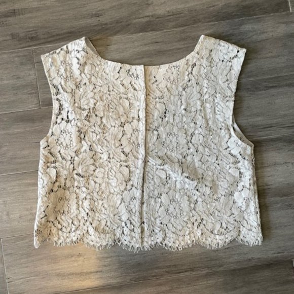 Gray Lace Crop Top Size L by Jenny Yoo - Picture 2 of 3